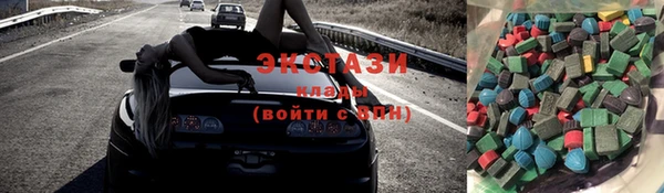 ECSTASY Гусь-Хрустальный