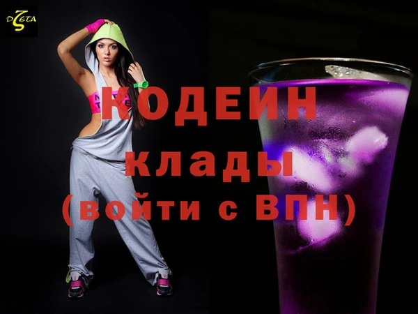 твердый Гусев