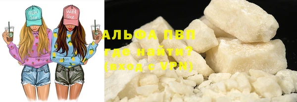 ECSTASY Гусь-Хрустальный