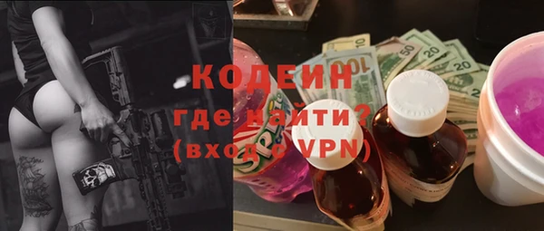 твердый Гусев