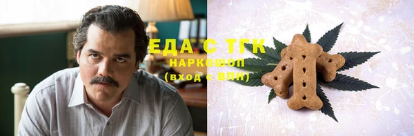 твердый Гусев