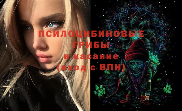 ECSTASY Гусь-Хрустальный