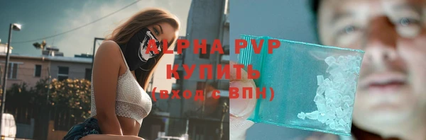 твердый Гусев