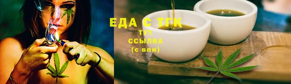 твердый Гусев