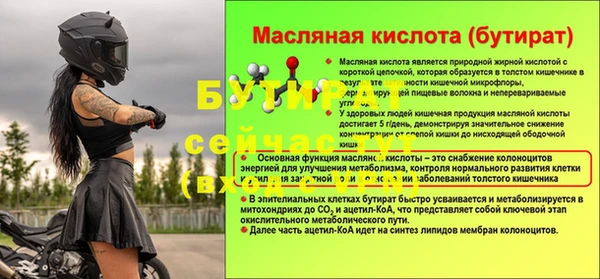 твердый Гусев