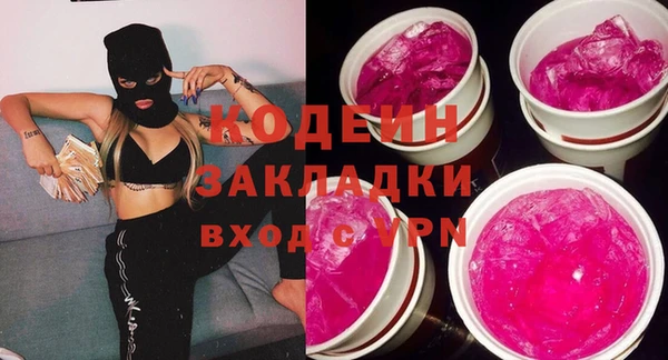 ECSTASY Гусь-Хрустальный