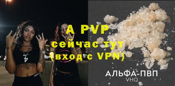 ECSTASY Гусь-Хрустальный