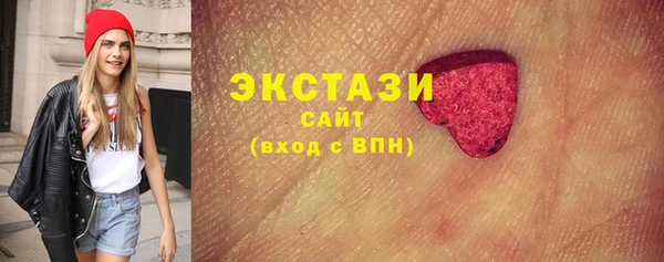 твердый Гусев