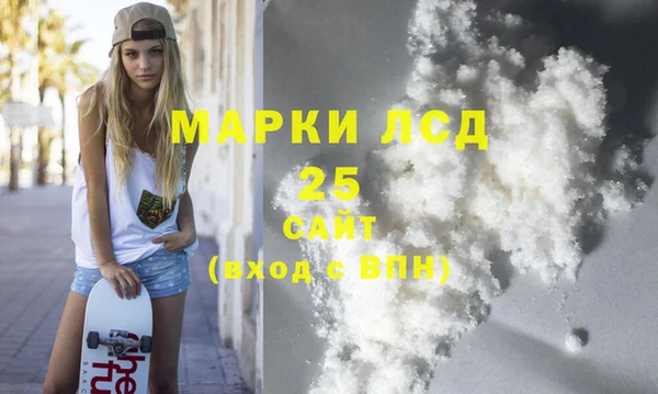 ECSTASY Гусь-Хрустальный