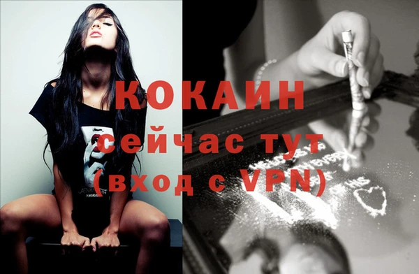 ECSTASY Гусь-Хрустальный