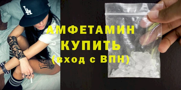 твердый Гусев