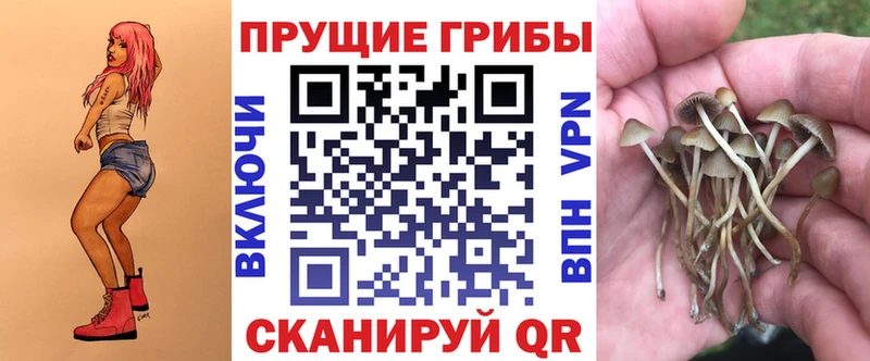 Псилоцибиновые грибы прущие грибы Фокино